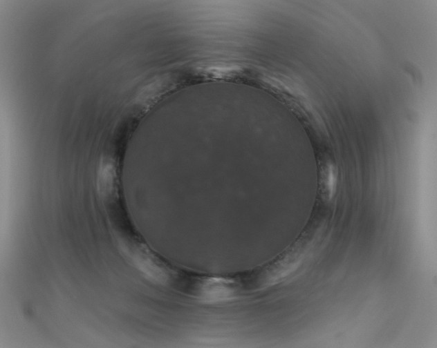 X0000111590222200907161500