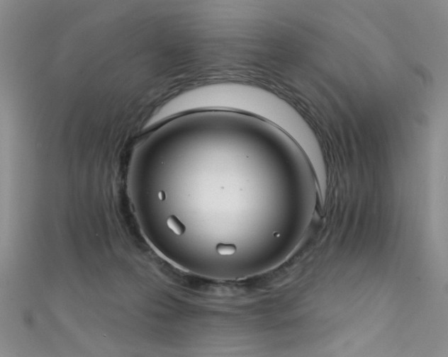 X0000111590223200907161500