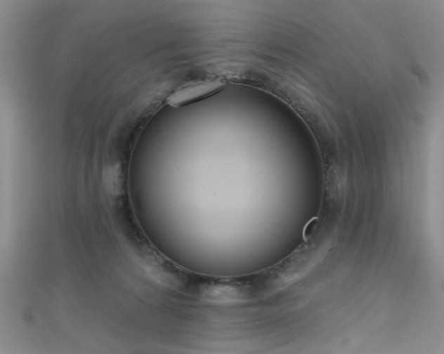 X0000111590224200907161500