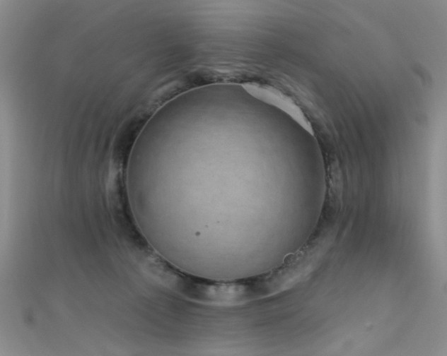 X0000111590225200907161500