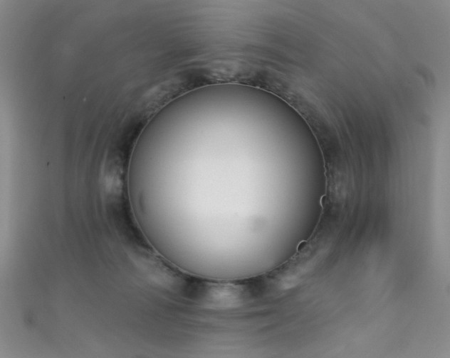 X0000111590226200907161500