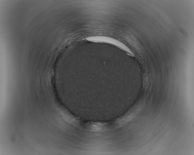 X0000111590229200907161500