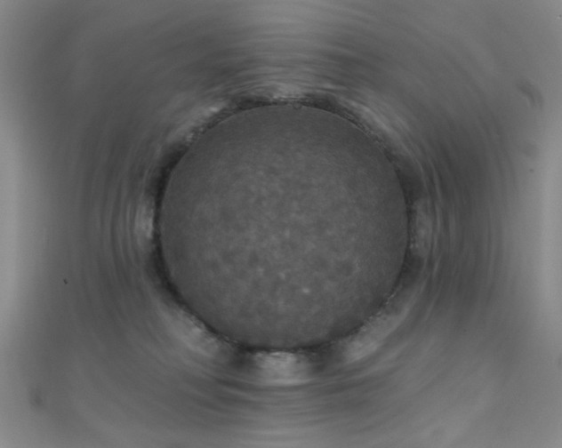 X0000111590230200907161500