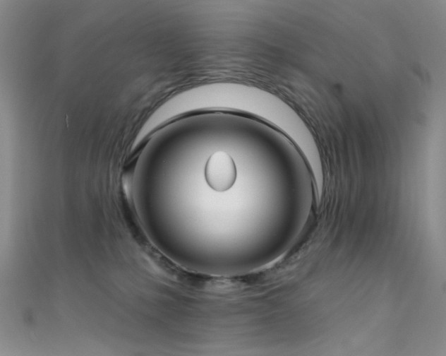 X0000111590231200907161500