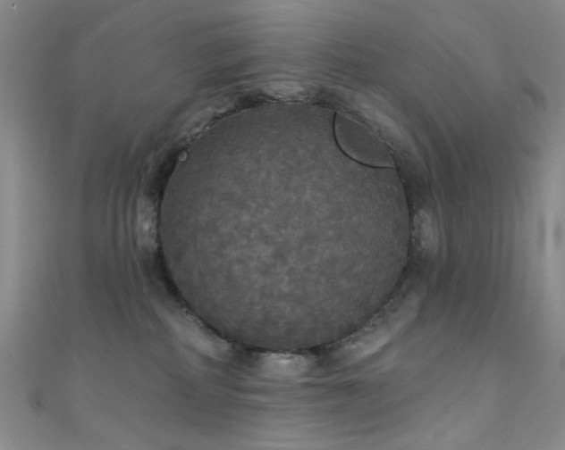 X0000111590234200907161500