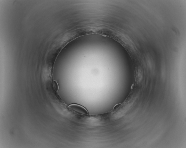 X0000111590236200907161500