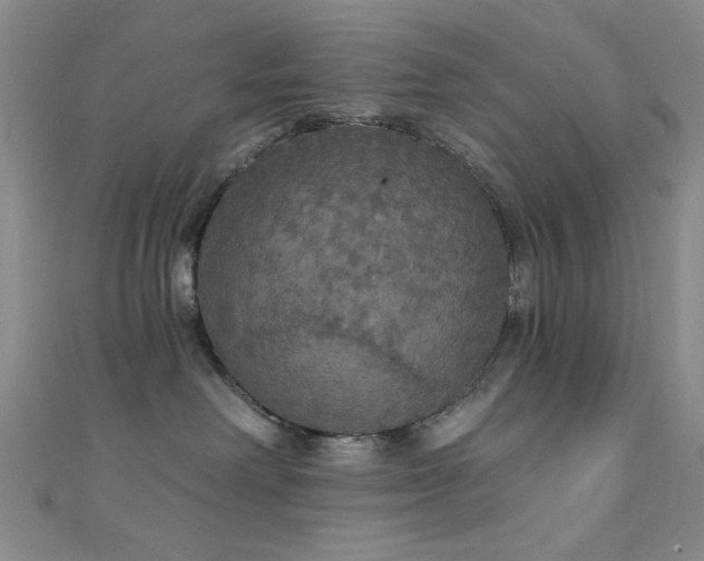 X0000111590238200907161500