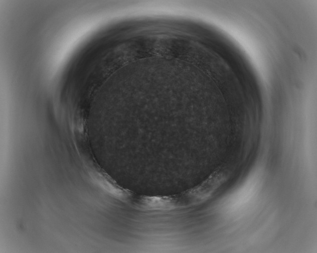 X0000111590239200907161500