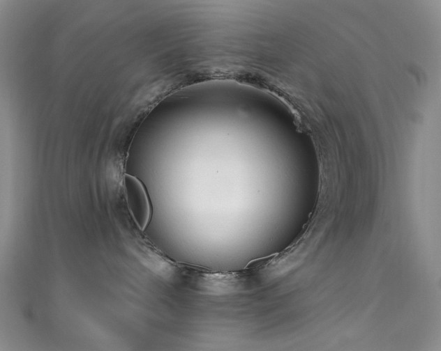 X0000111590240200907161500