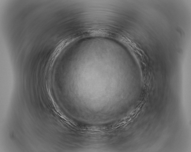 X0000111590241200907161459