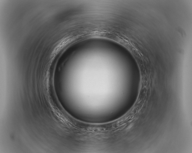 X0000111590242200907161459