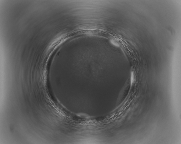 X0000111590243200907161459