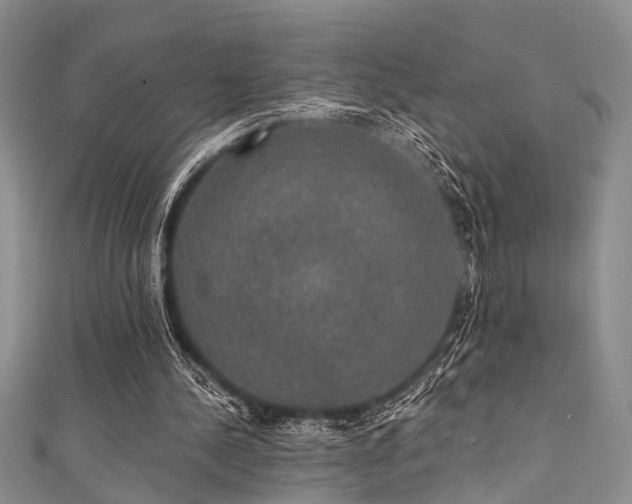 X0000111590244200907161459