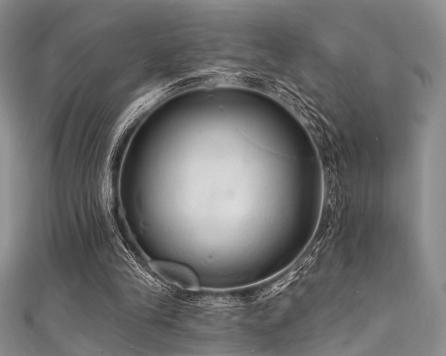 X0000111590245200907161459