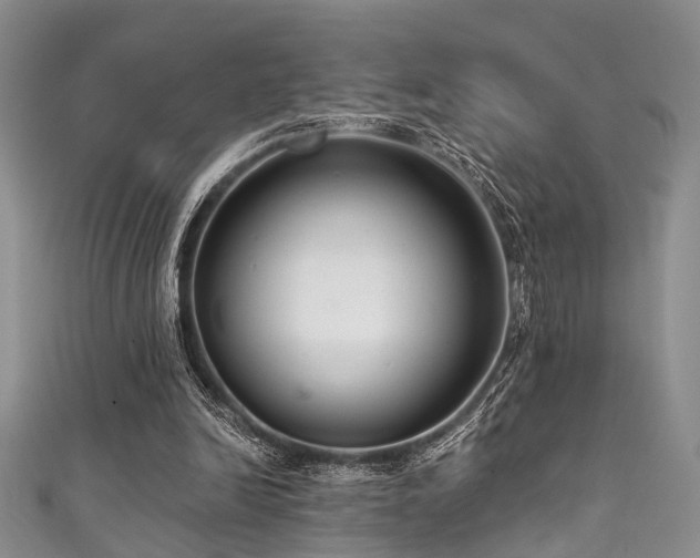 X0000111590246200907161459