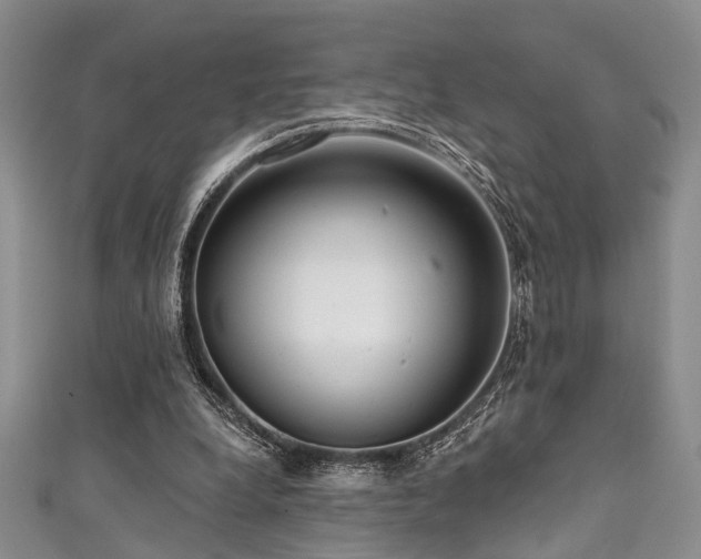 X0000111590248200907161459