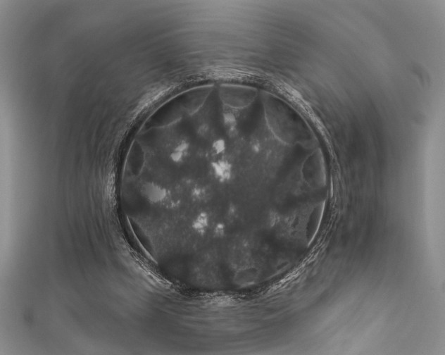 X0000111590249200907161459