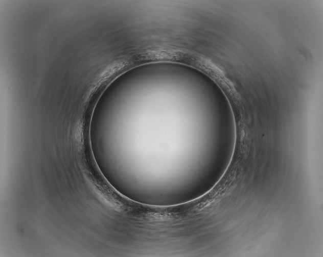 X0000111590250200907161459