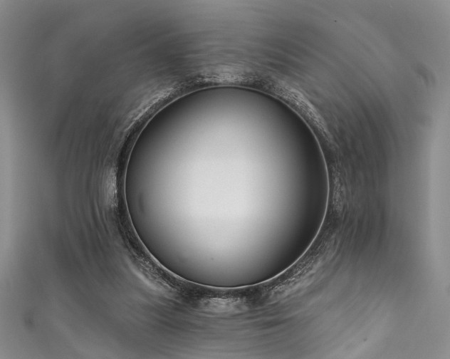 X0000111590251200907161459