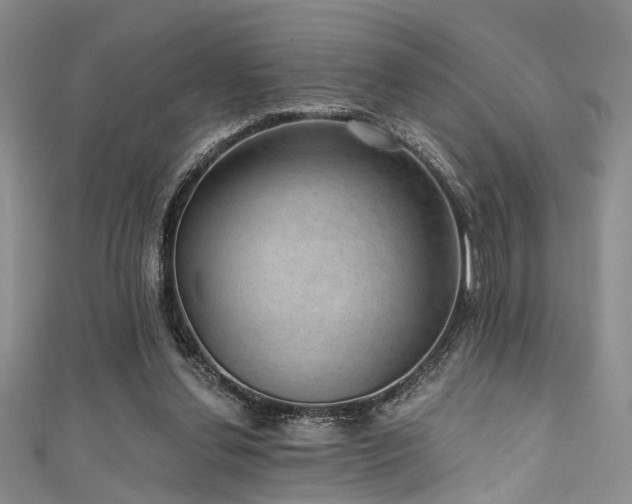 X0000111590252200907161459