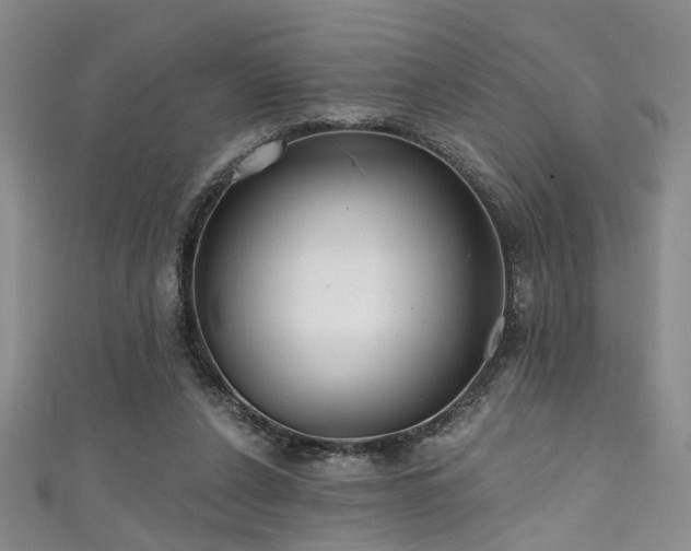 X0000111590256200907161459