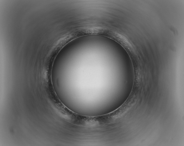 X0000111590258200907161459