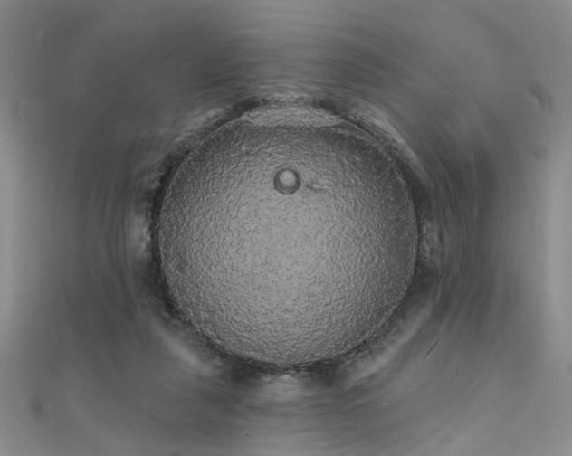 X0000111590259200907161459