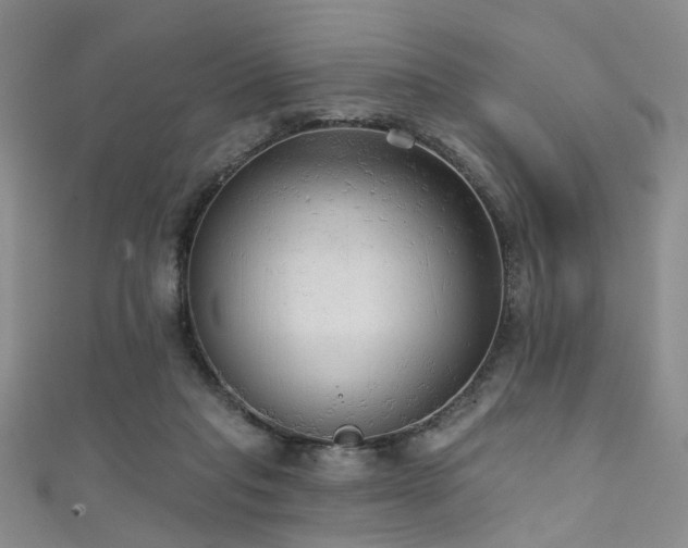 X0000111590261200907161459