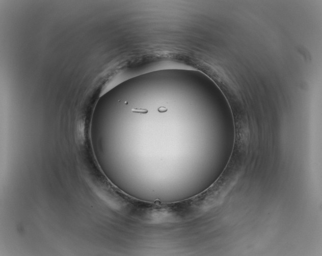 X0000111590262200907161459