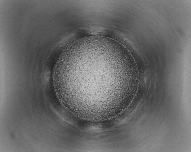 X0000111590263200907161459