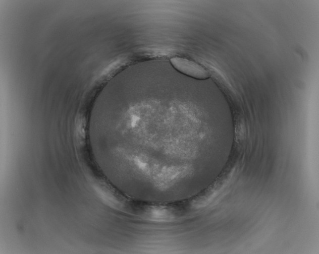 X0000111590264200907161459