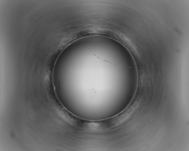 X0000111590265200907161459