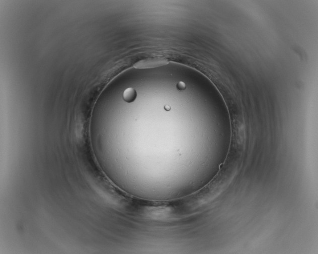 X0000111590266200907161459