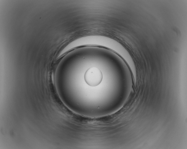 X0000111590268200907161459