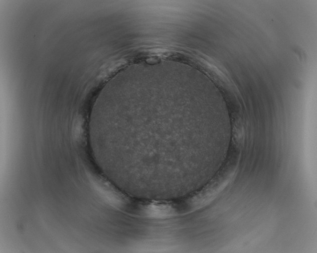 X0000111590270200907161459