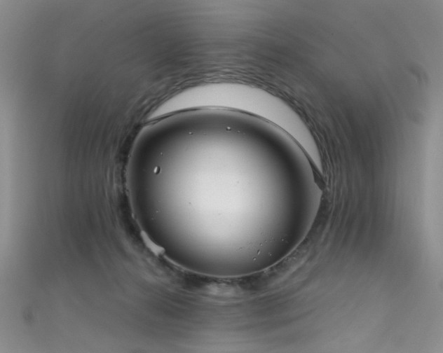 X0000111590272200907161459