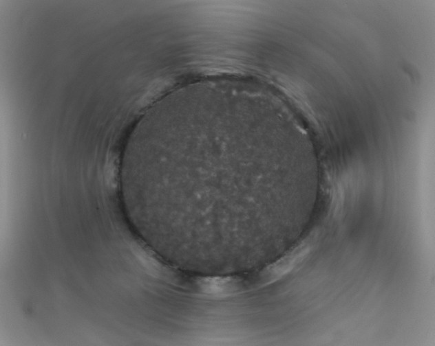 X0000111590273200907161459