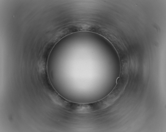 X0000111590274200907161459