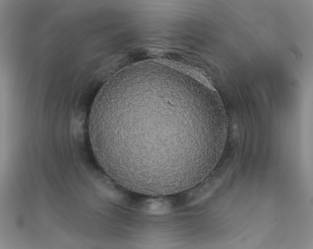 X0000111590275200907161459