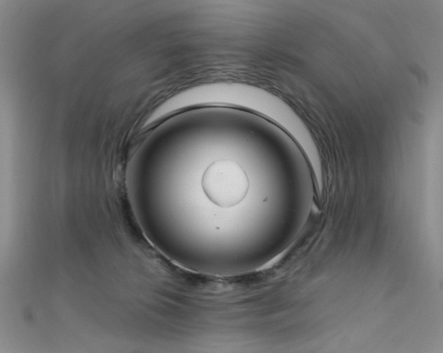 X0000111590276200907161459