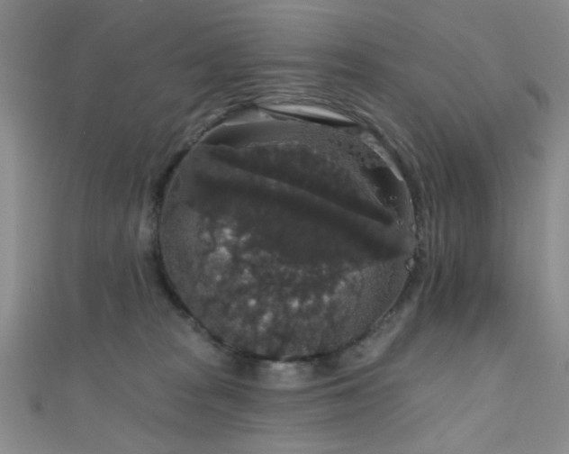 X0000111590277200907161459