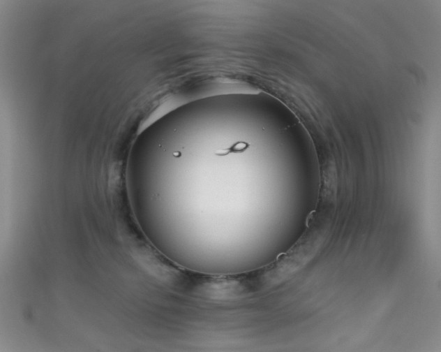 X0000111590278200907161500