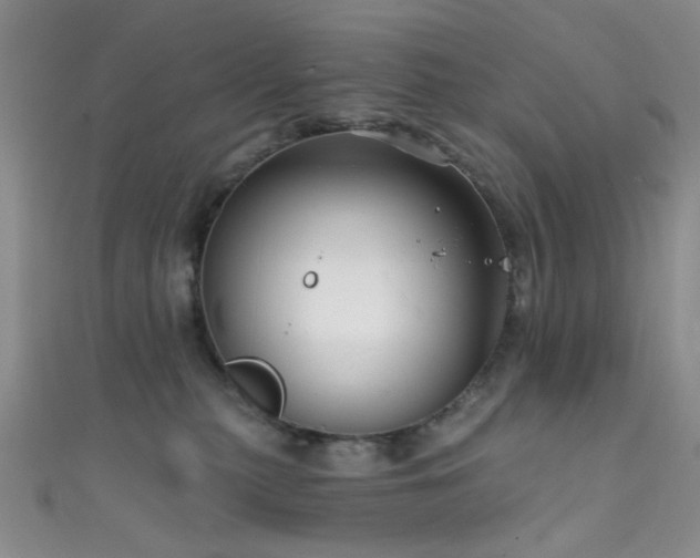 X0000111590279200907161500