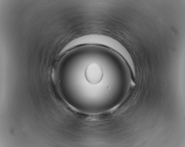 X0000111590280200907161500