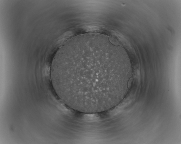 X0000111590281200907161500