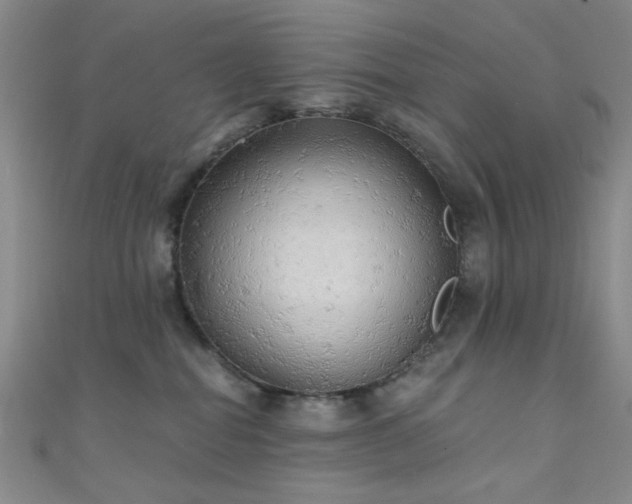 X0000111590282200907161500