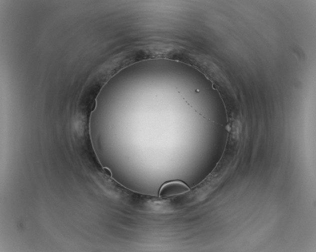 X0000111590283200907161500