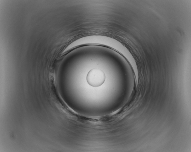 X0000111590284200907161500