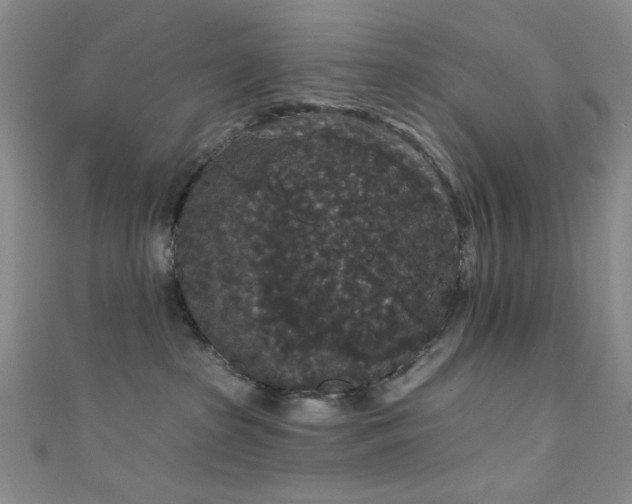 X0000111590285200907161500