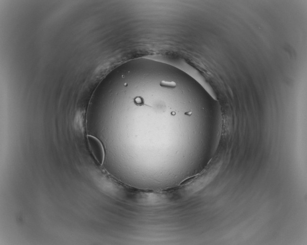 X0000111590286200907161500